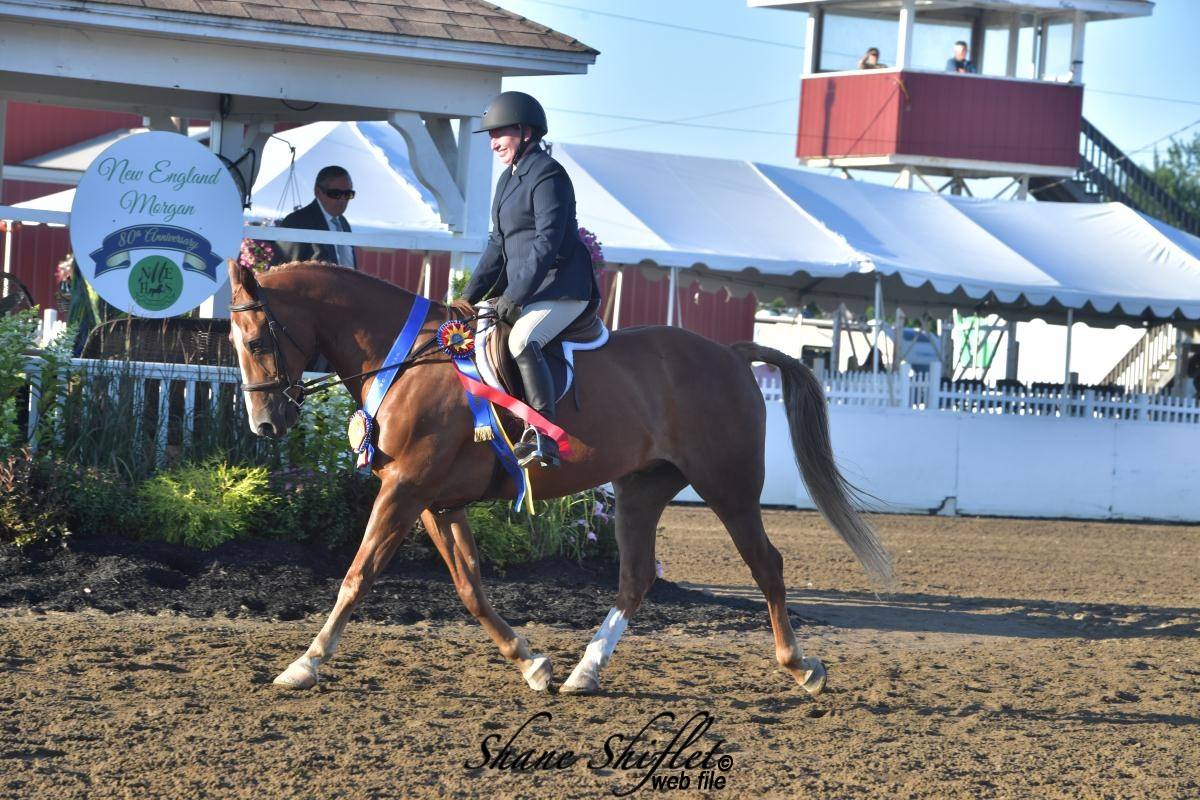 New England Horse Show